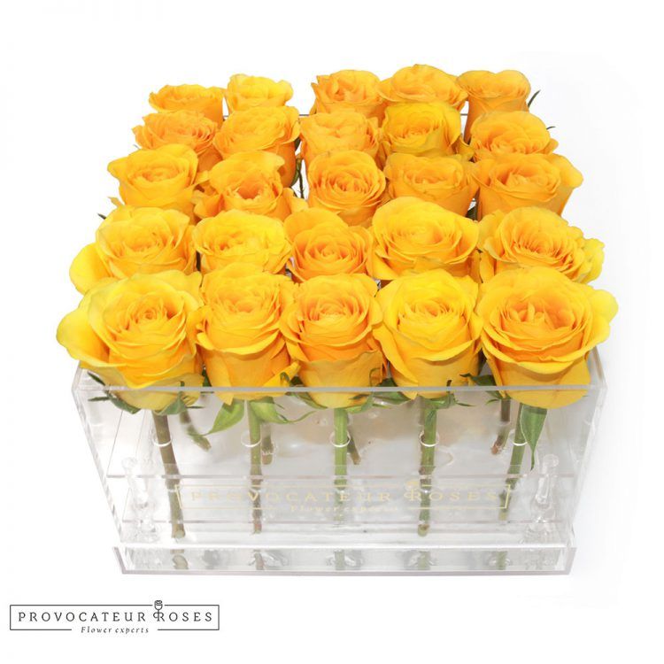 Rosas amarillas caja acrilica 25 tallos