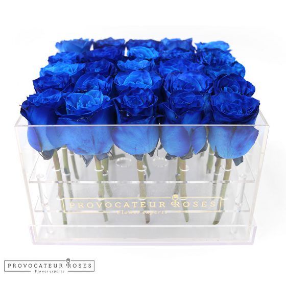 Rosas azul caja acrilica 25 tallos