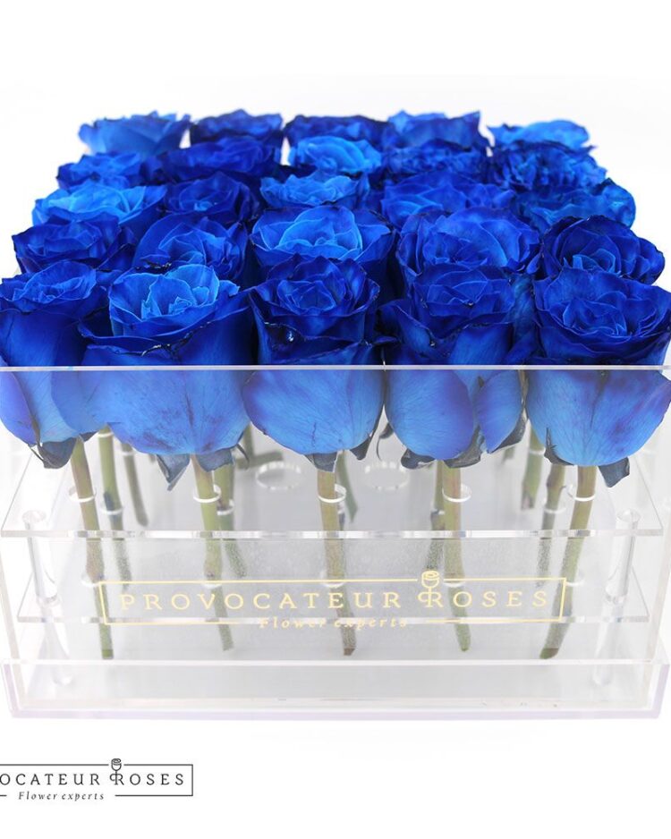 Rosas azul caja acrilica 25 tallos