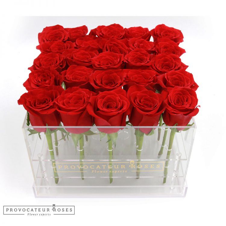 Rosas rojas caja acrilica 25 tallos