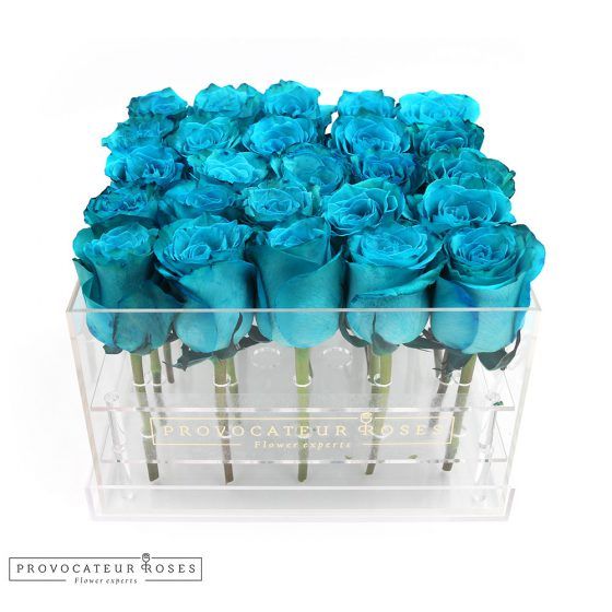 Rosas turquesa caja acrilica 25 tallos