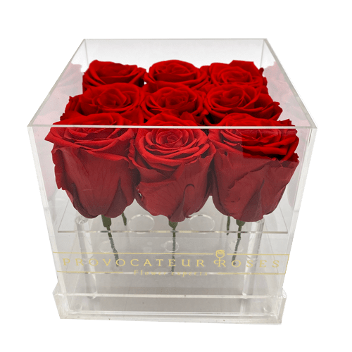 Rosas Preservadas en Caja Acrílica
