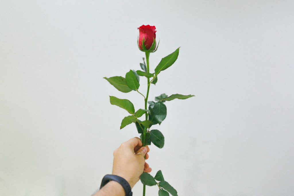 10 motivos para regalar flores - Provocateur Roses