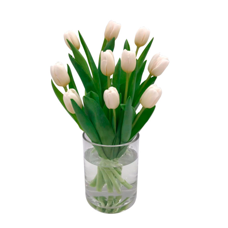 Ramo de tulipanes blanco