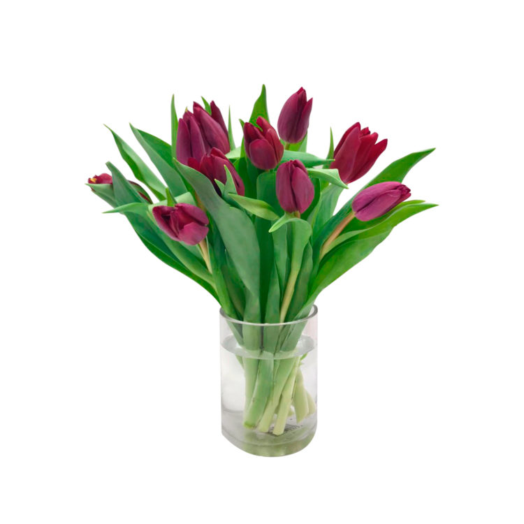 Ramo de tulipanes morado