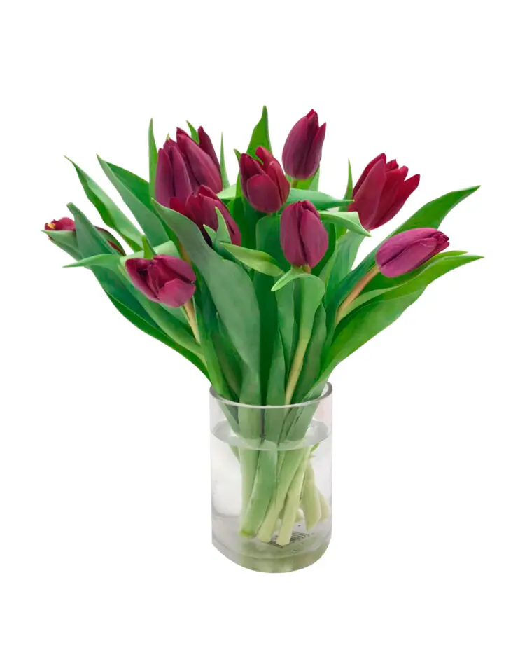 Purple tulip bouquet