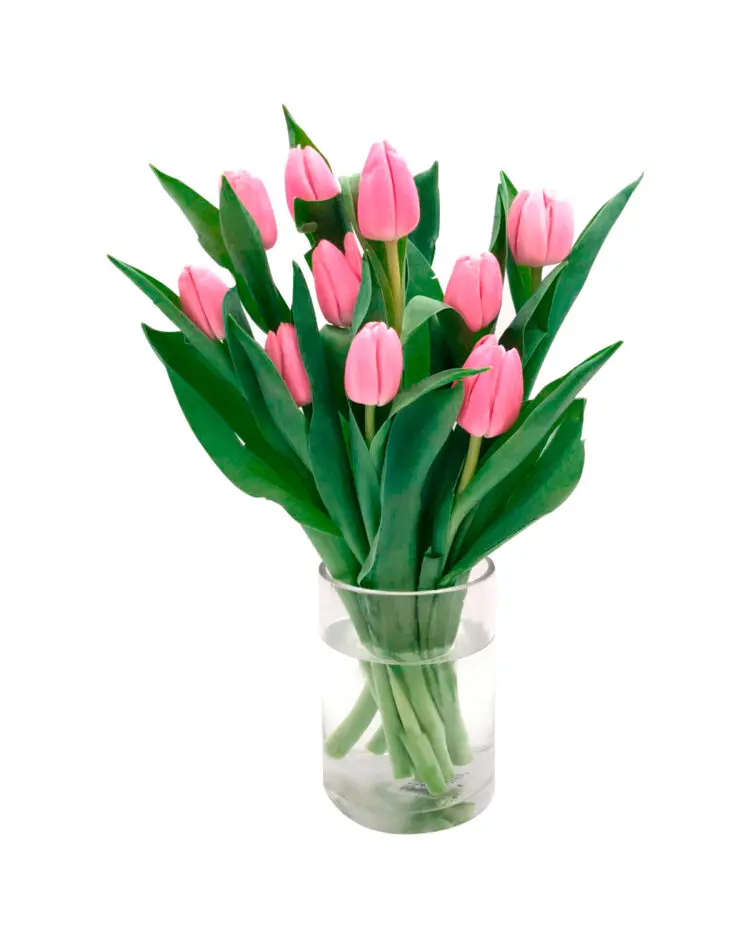 Bouquet of pink tulips