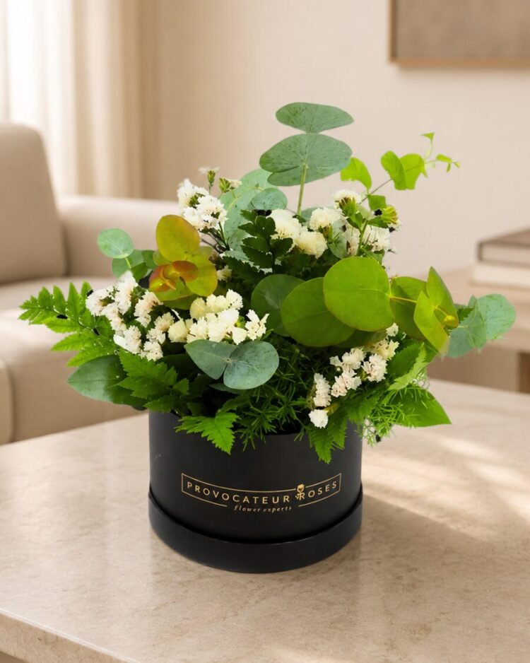 Mojito Cocktail Box