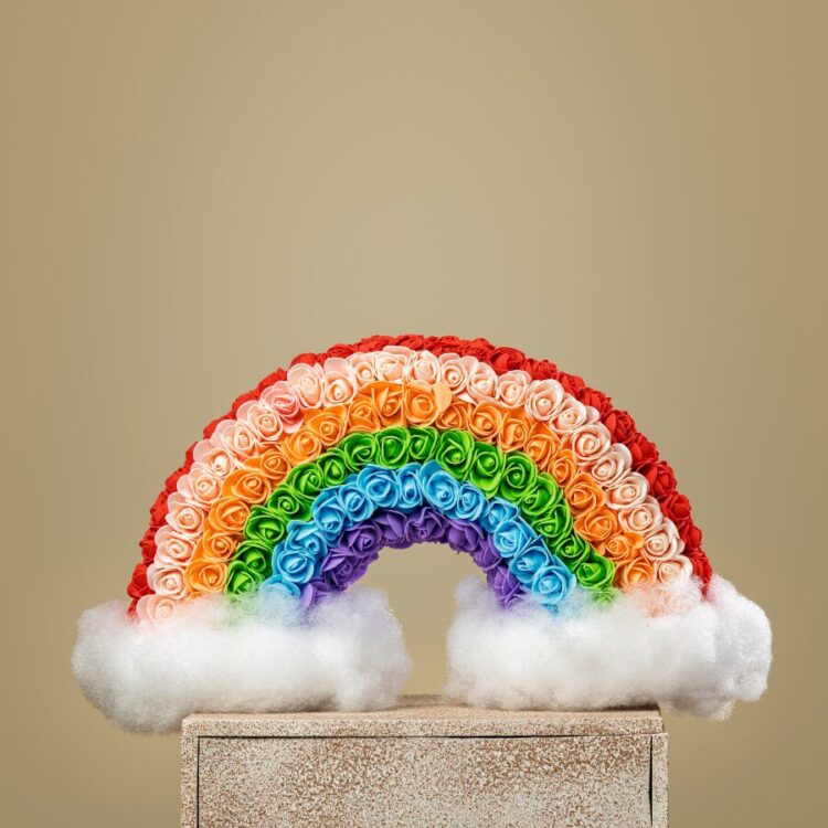 Peluche Rainbow Foam