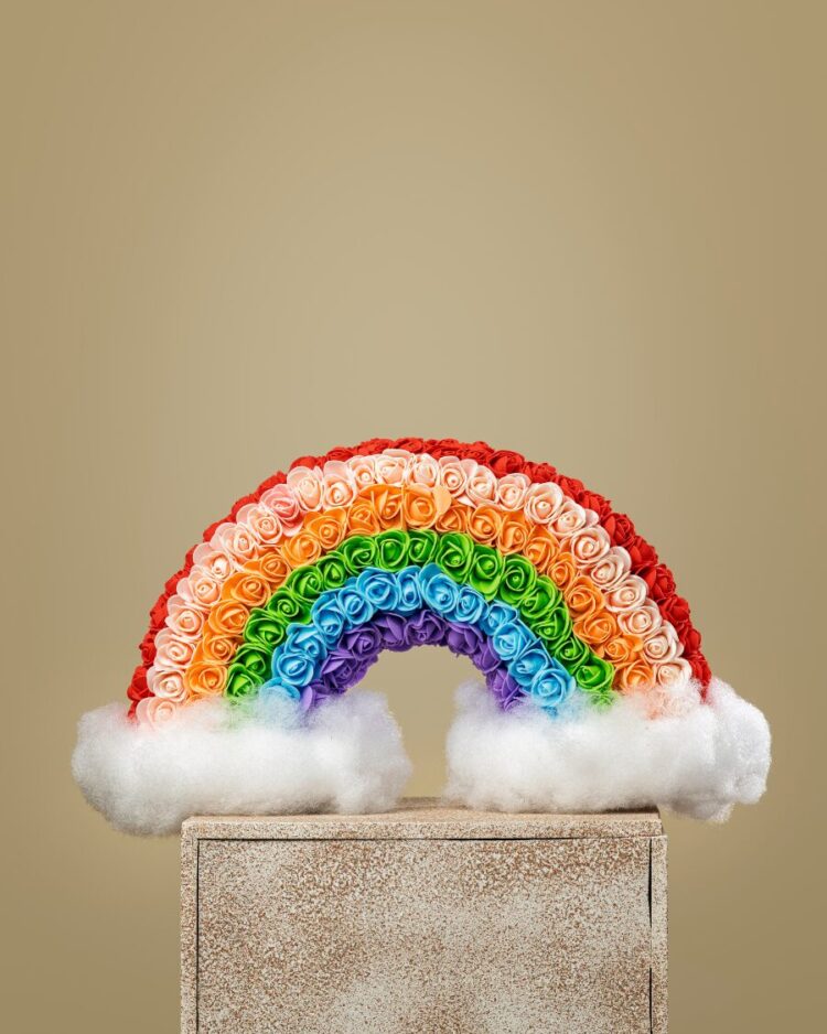 Peluche Rainbow Foam