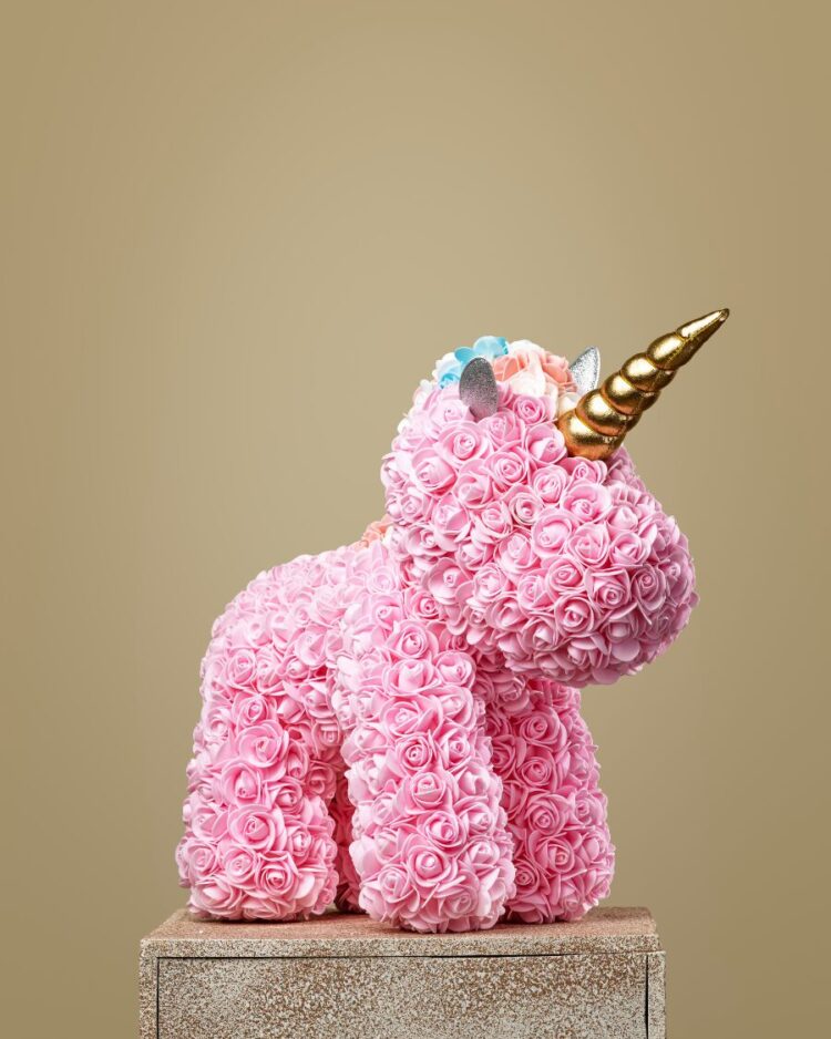 Flower Unicorn