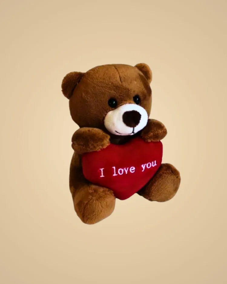 Little Teddy I Love You Plush