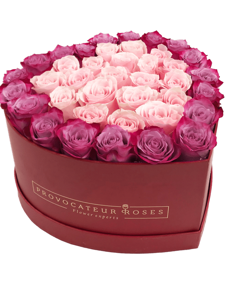 Caja Corazón Bicolor