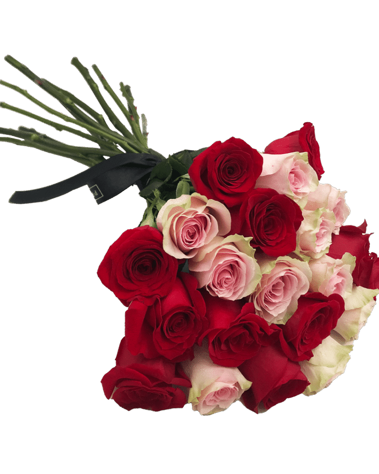 Ramo de Rosas Frescas Bicolor