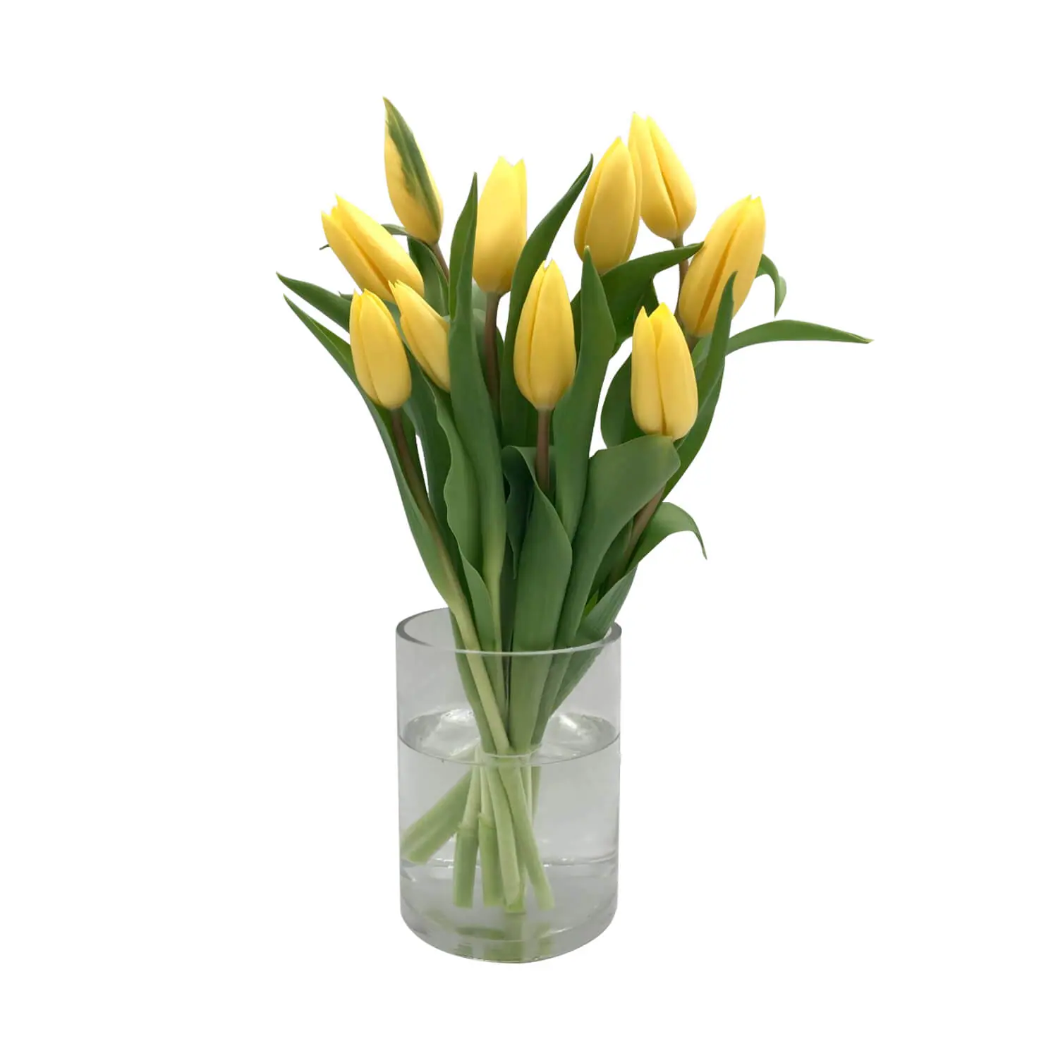 Bouquet of yellow tulips