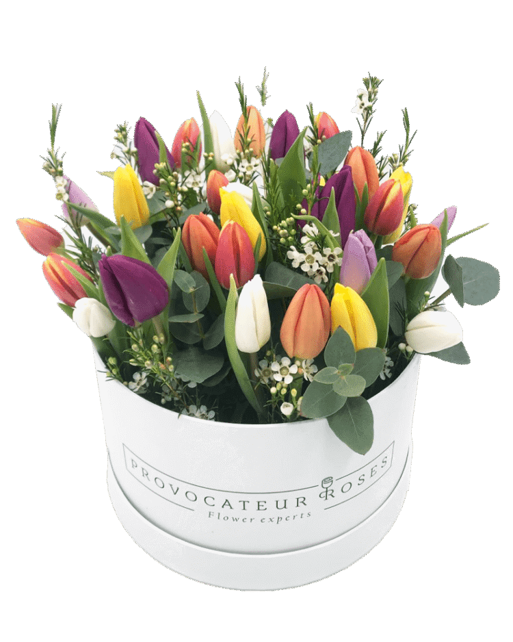 Tulip Box con verdes