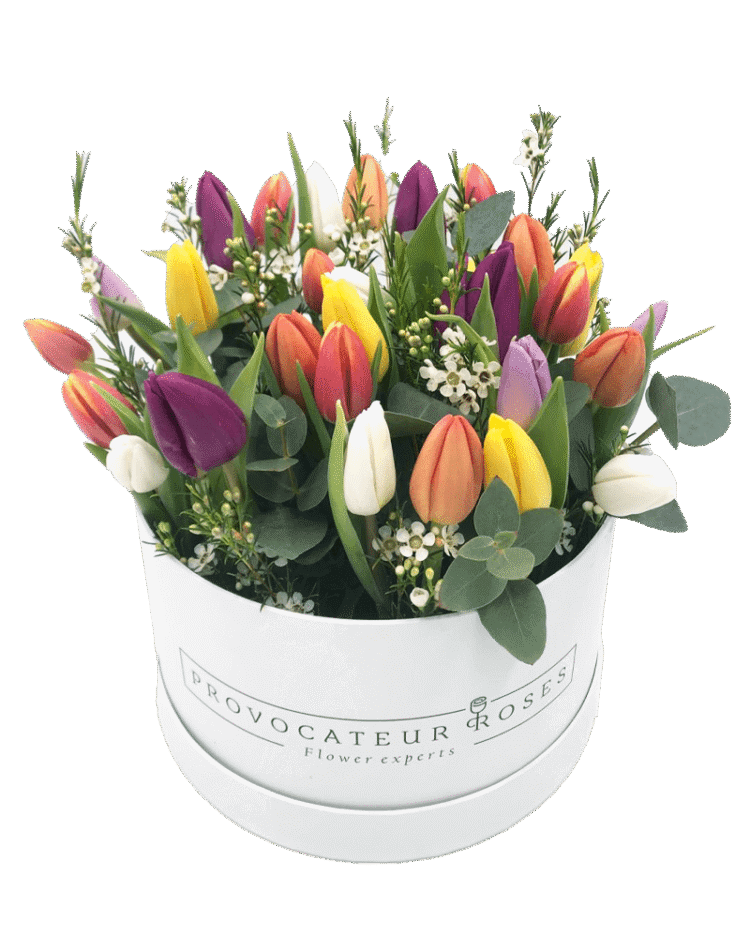 Tulip Box with greens