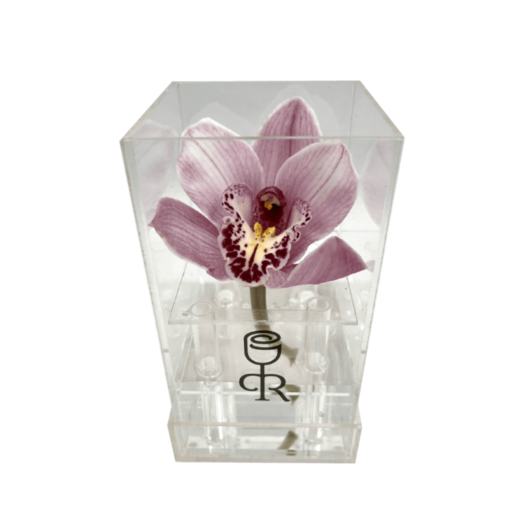 Orquídea en caja acrílica