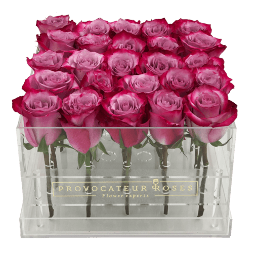 Comprar Rosas frescas – Rograplant