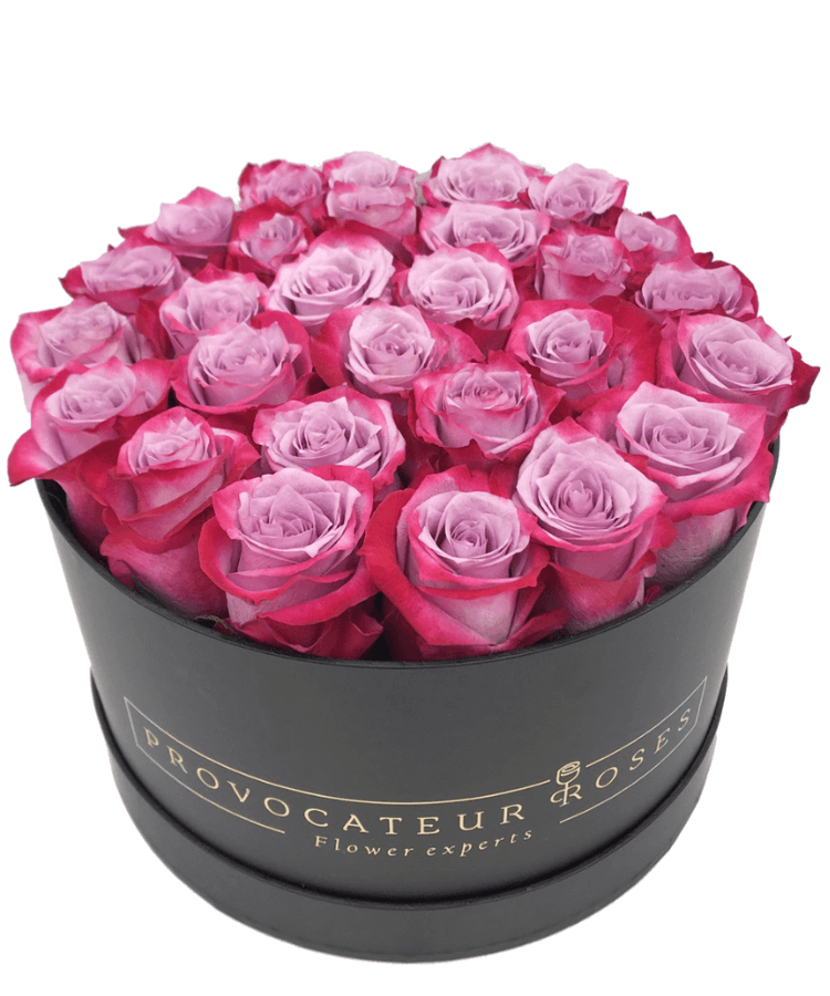 Caja Redonda de Rosas Frescas deep purple
