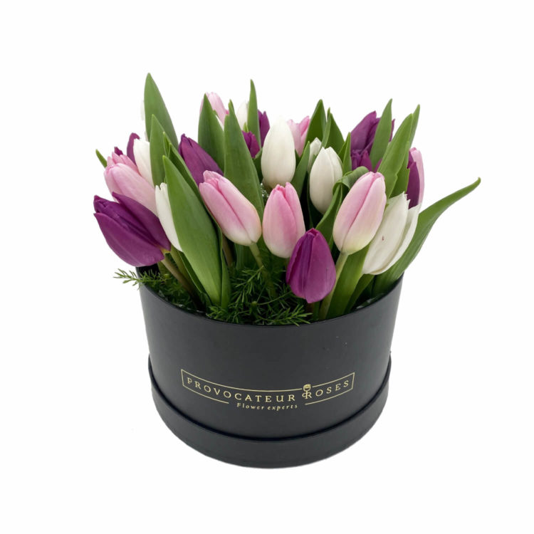 Caja de tulipanes morados rosas y blancos
