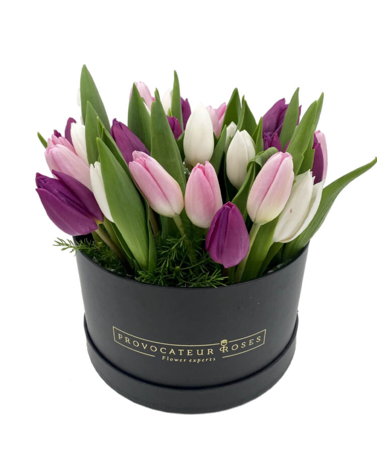 Caja de tulipanes morados rosas y blancos