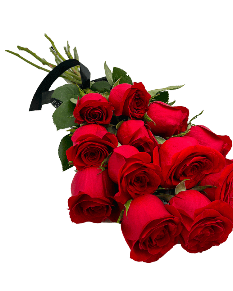 Bouquet of fresh red roses