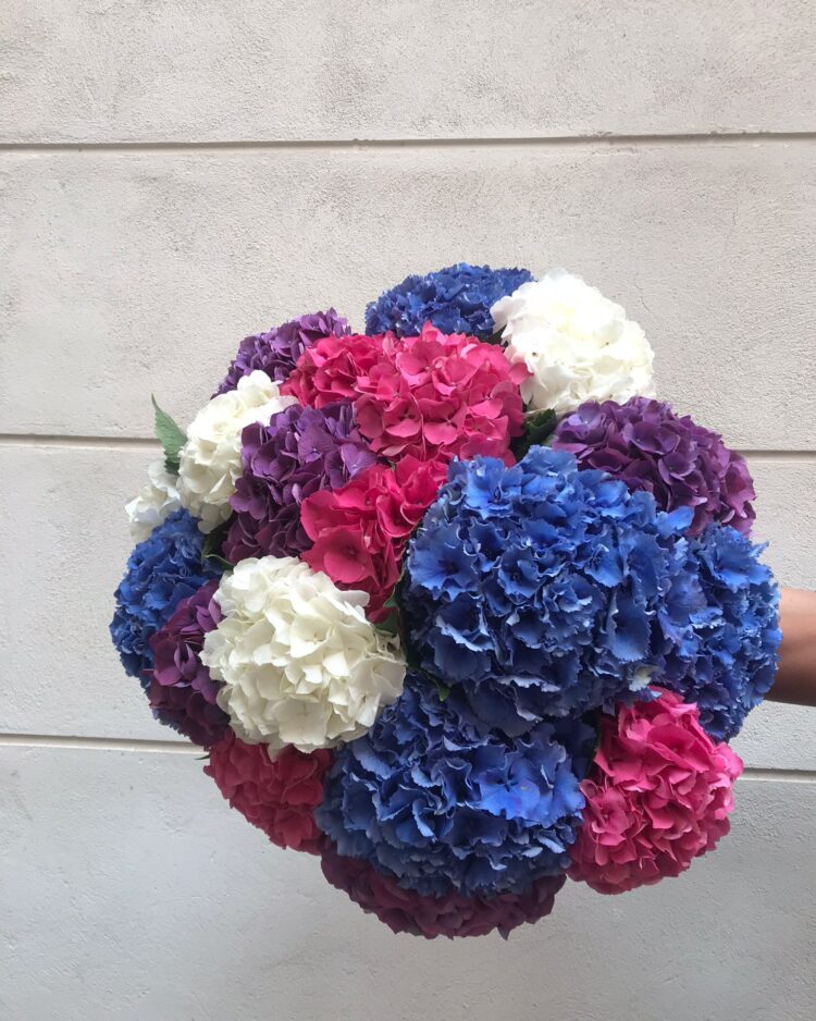 Ramo de Hortensias premium de colores 20 tallos
