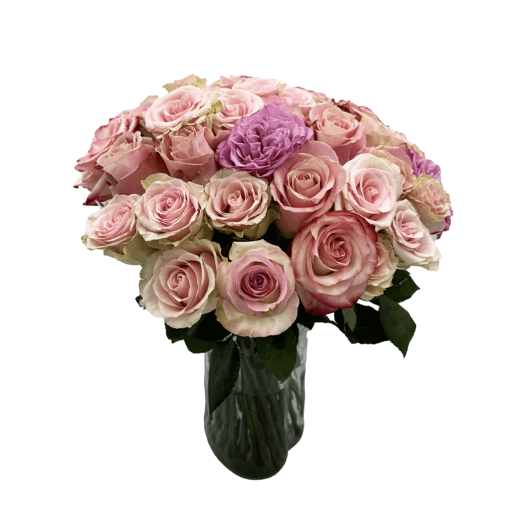 Rosas Frescas en Caja Corazón - Provocateur Roses
