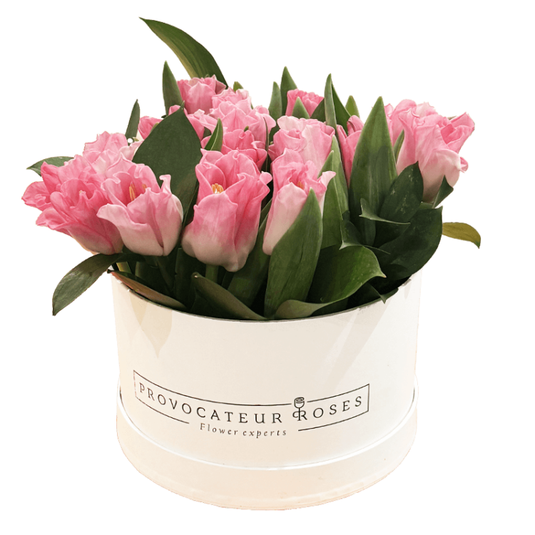 Caja de tulipanes Daisy