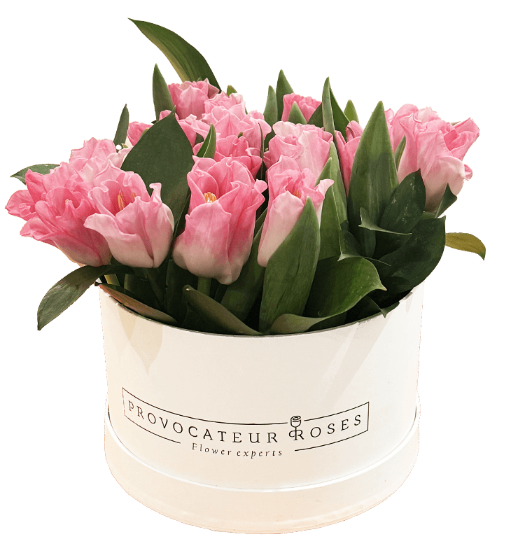 Caja de tulipanes Daisy