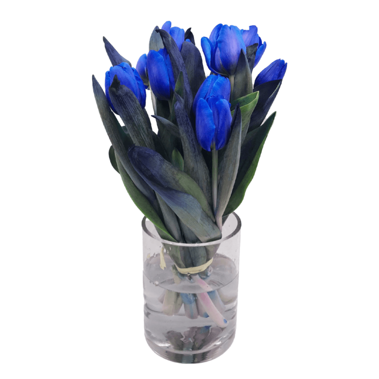 Ramo de tulipanes azules