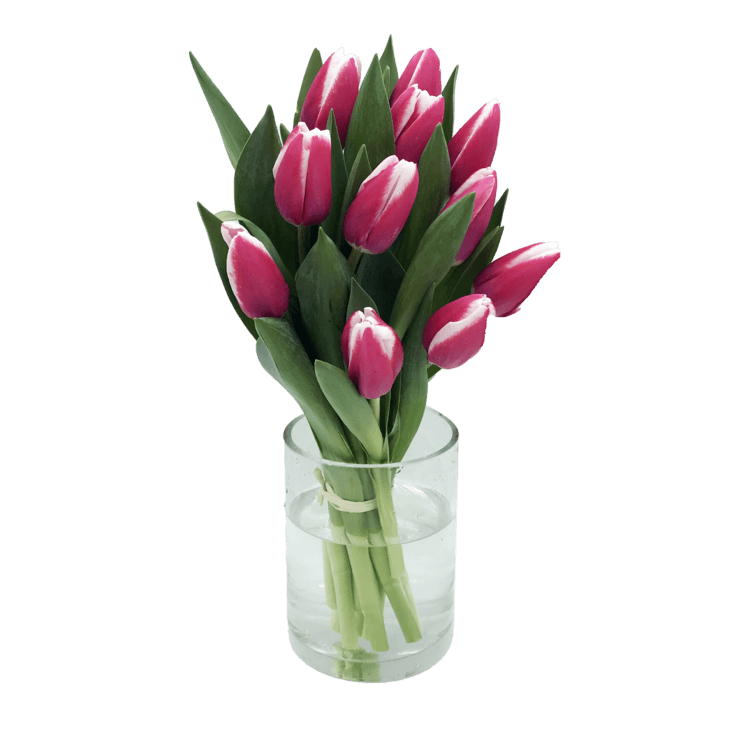 Ramo de tulipanes pantera rosa