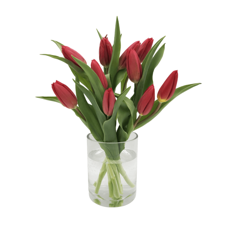 Bouquet of red tulips