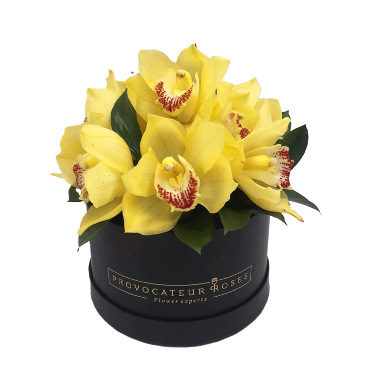 Box of yellow orchids