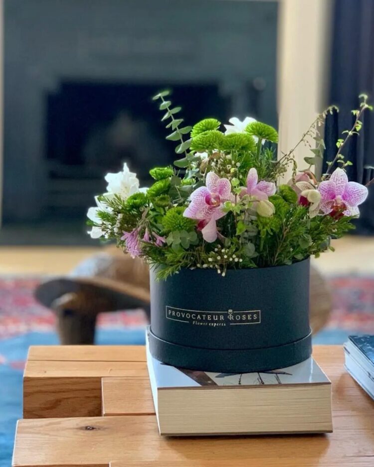 Rainforest Fantasy Box