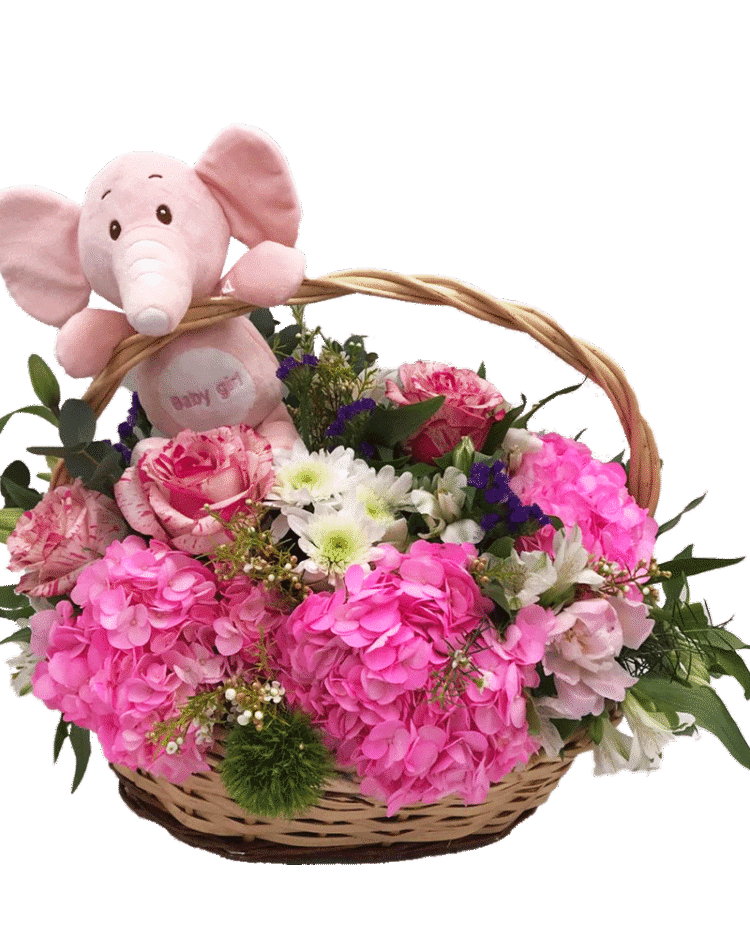 Cesta recien nacido niña