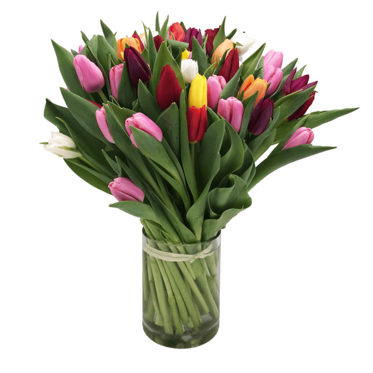Ramo de 50 tulipanes de colores