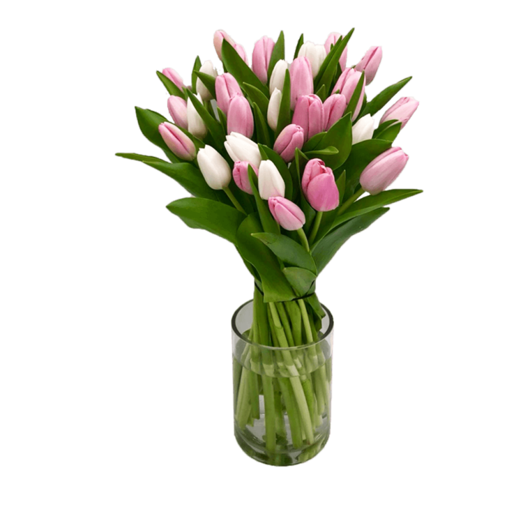 Ramo de 30 tulipanes blancos y rosas