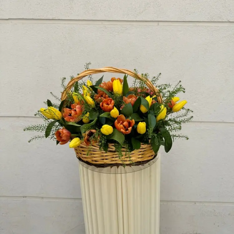 Basket of 50 colorful tulips