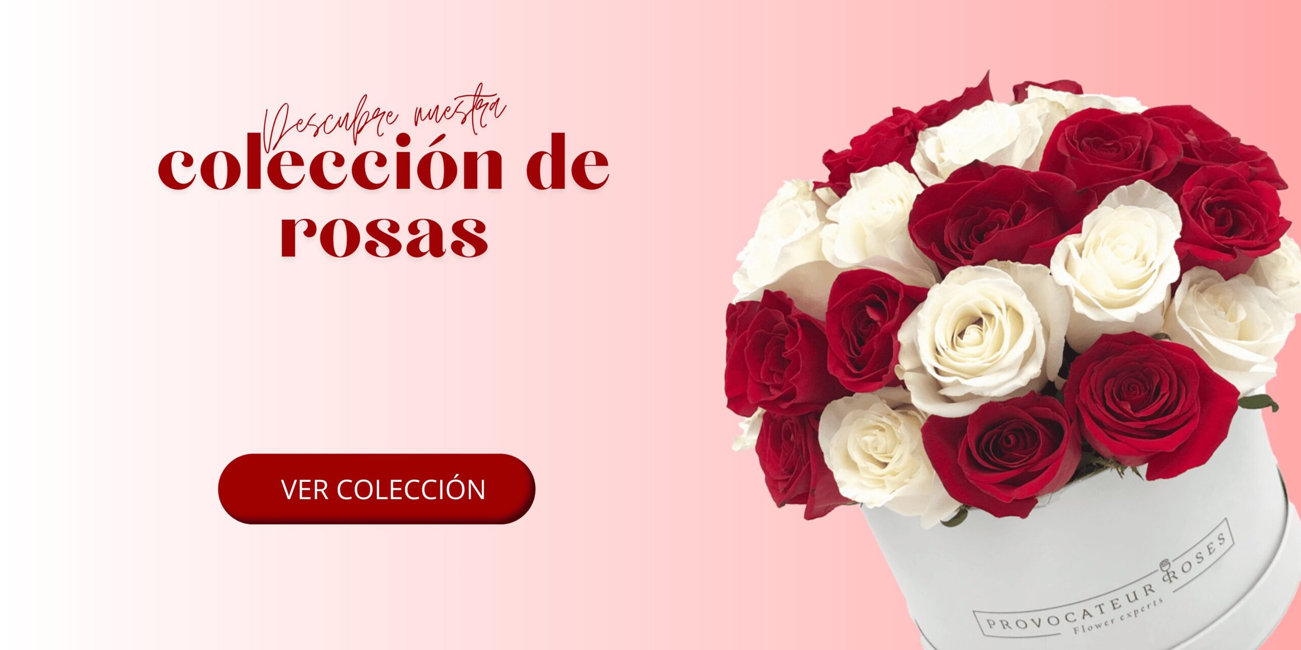 Colección de rosas