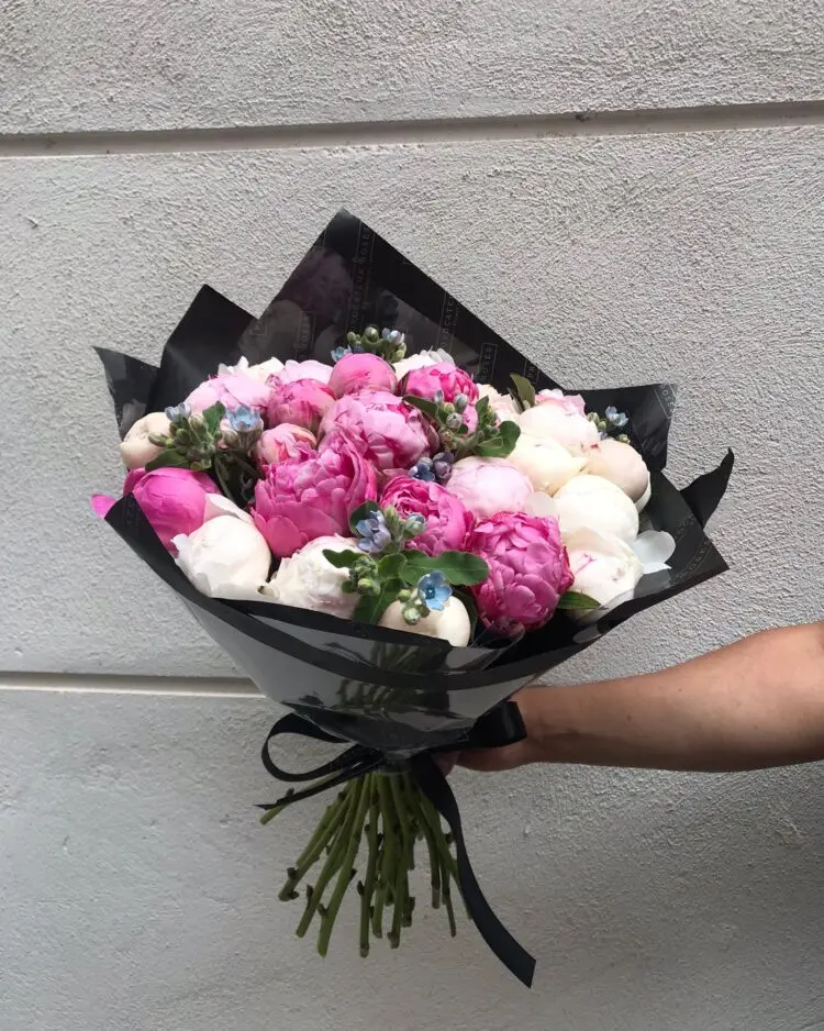 Bouquet of 35 white and pink peonies