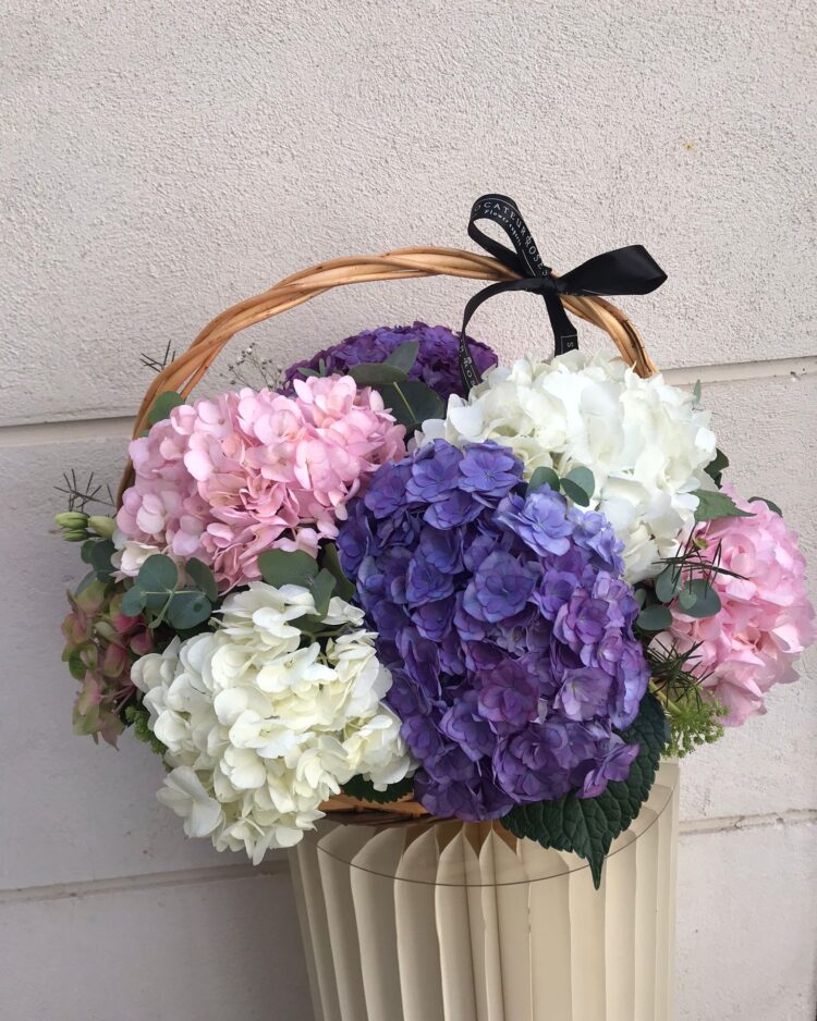 Cesta de Hortensias colorida