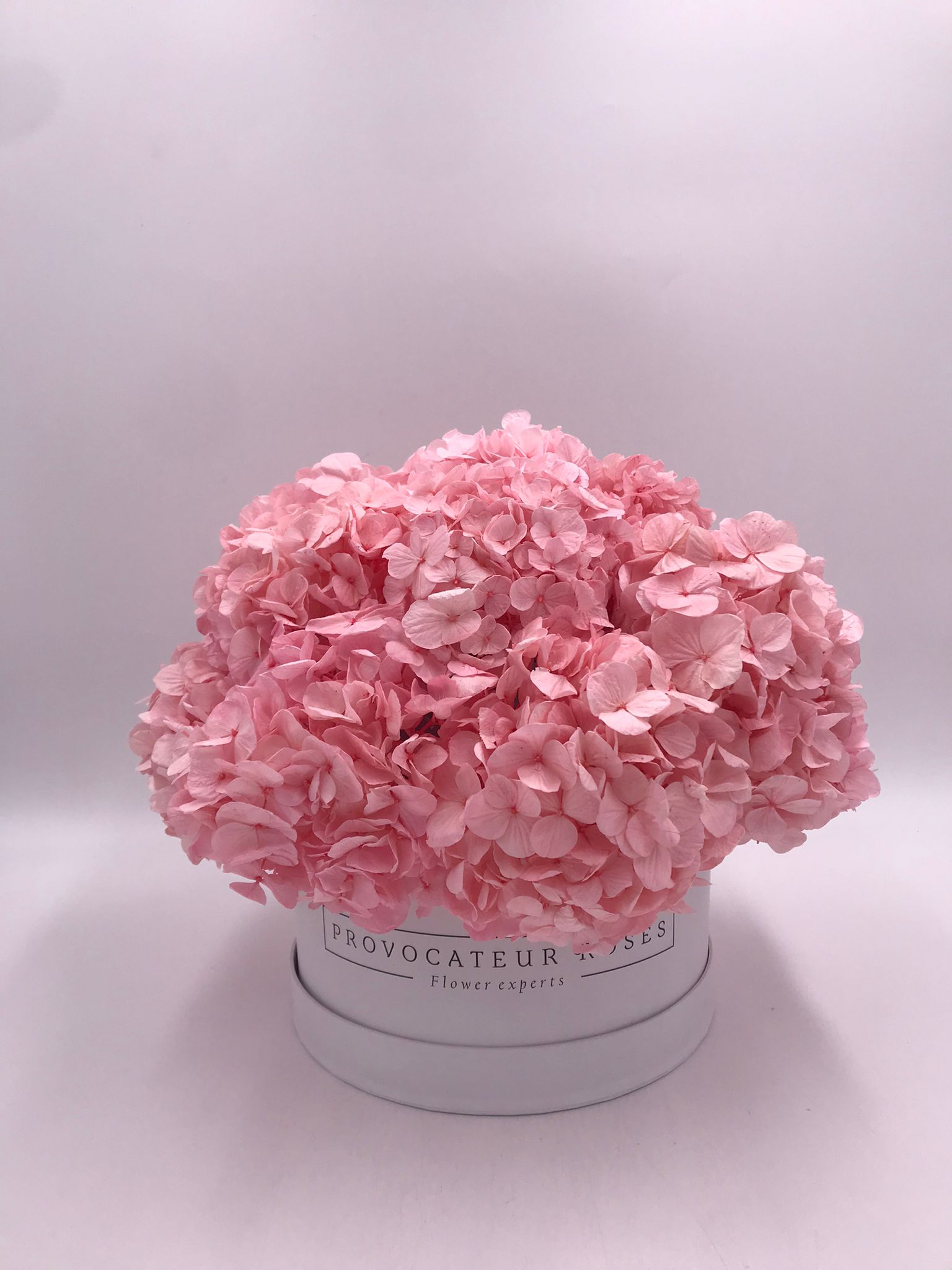 Princess Hortensias eternal