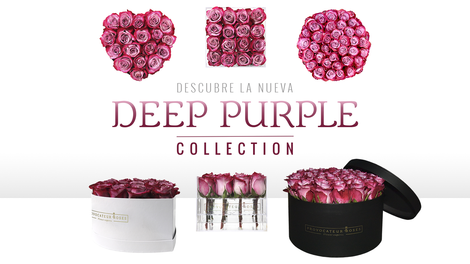 BANNER DEEP PURPLE COLLECTION 2 (1)