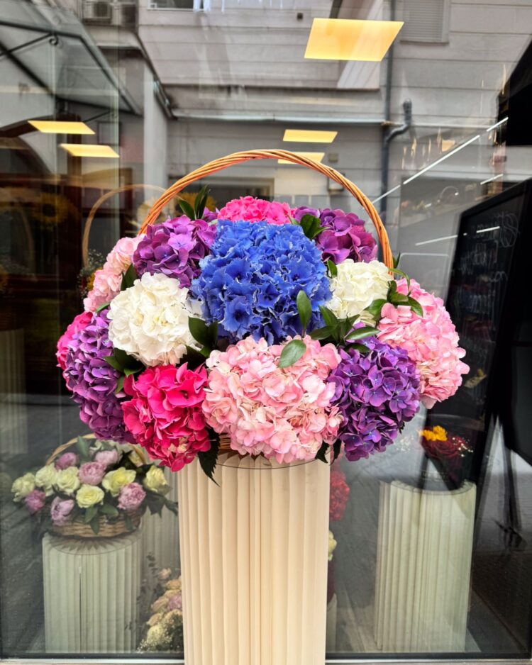 Cesta de Hortensias premium
