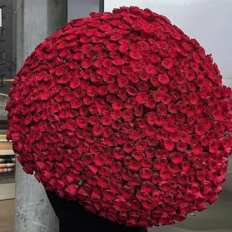 500 Red Roses
