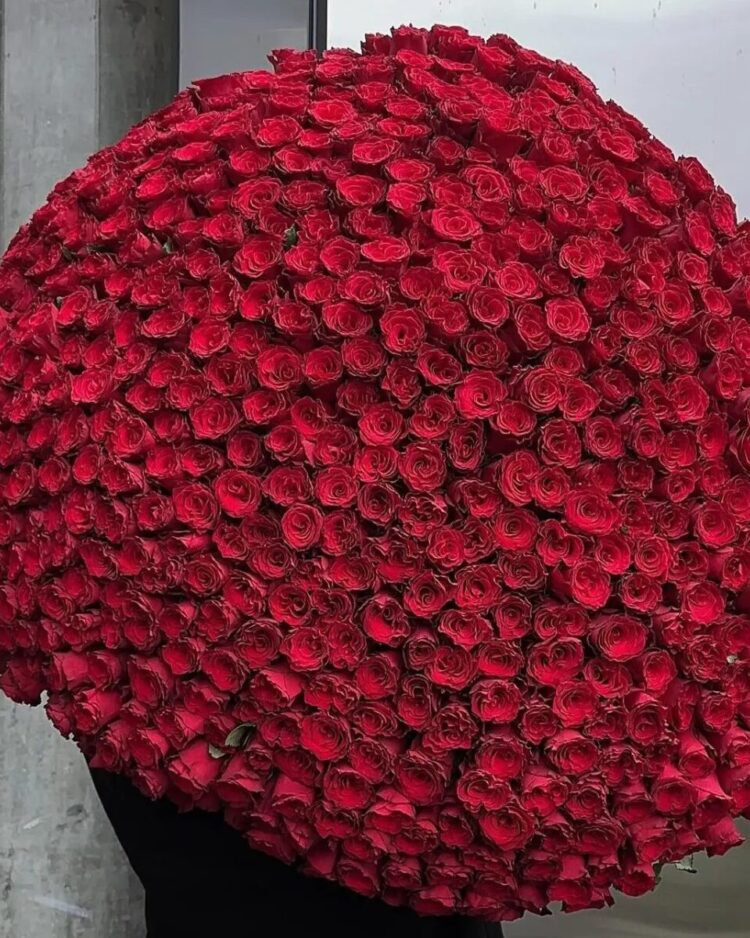 500 Red Roses