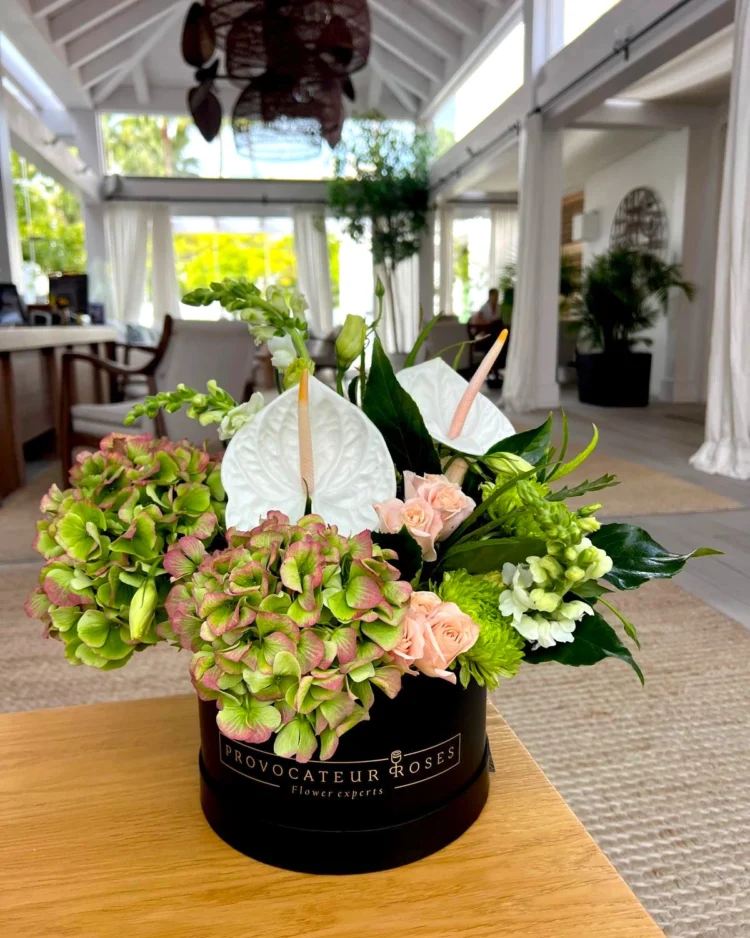 Tropical box