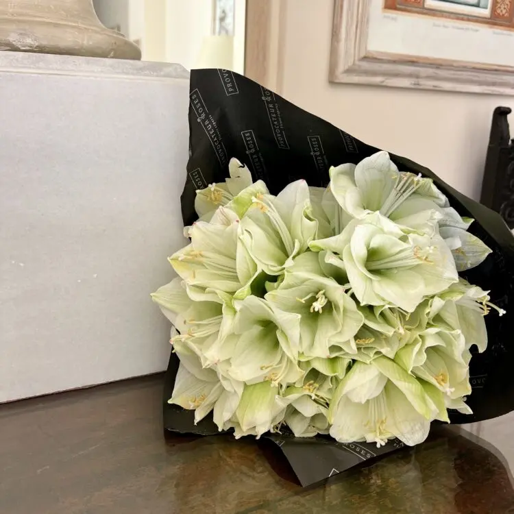 White Amaryllis bouquet